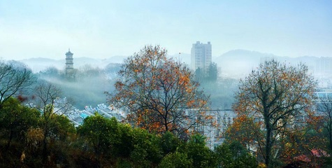 浙西森林四库之②文化提韵增彩 | 浙江常山 以文兴业，拓宽富民创收新路径