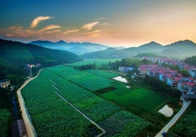 衢州常山白石镇 高起点大格局，一盘棋推进美丽城镇建设与常山旅游融合发展