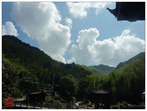 常山梅树底 一场未经雕饰的山野漫游记（上）