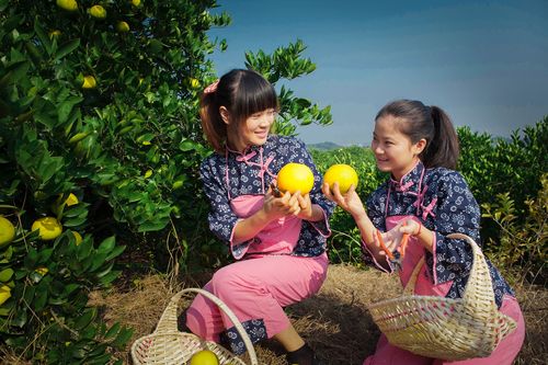 【何处心安,慢城常山!】 浙江自驾旅游杂志